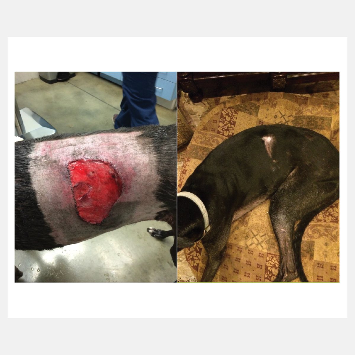 Celluma before and after result