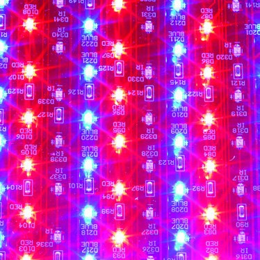 Celluma red-light LED array